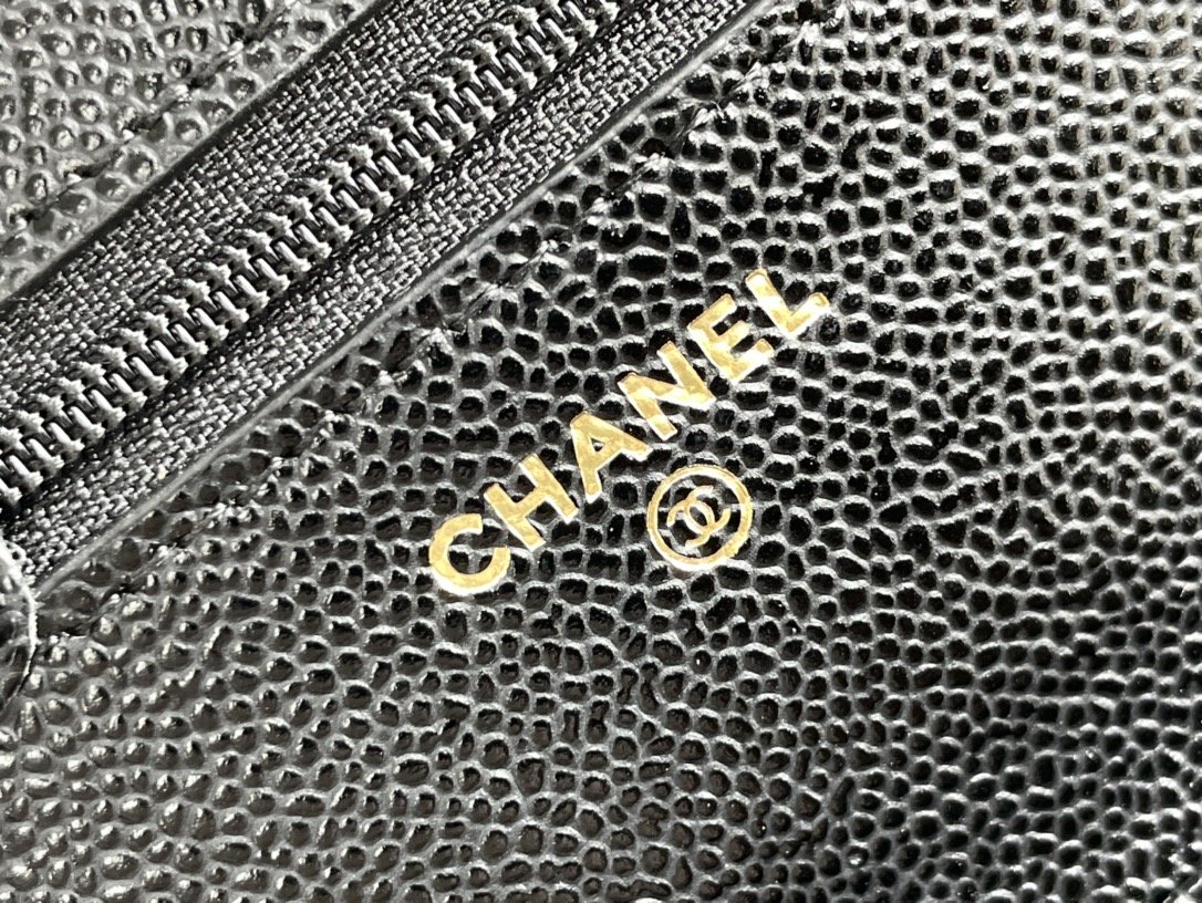 Chanel WOC Bags